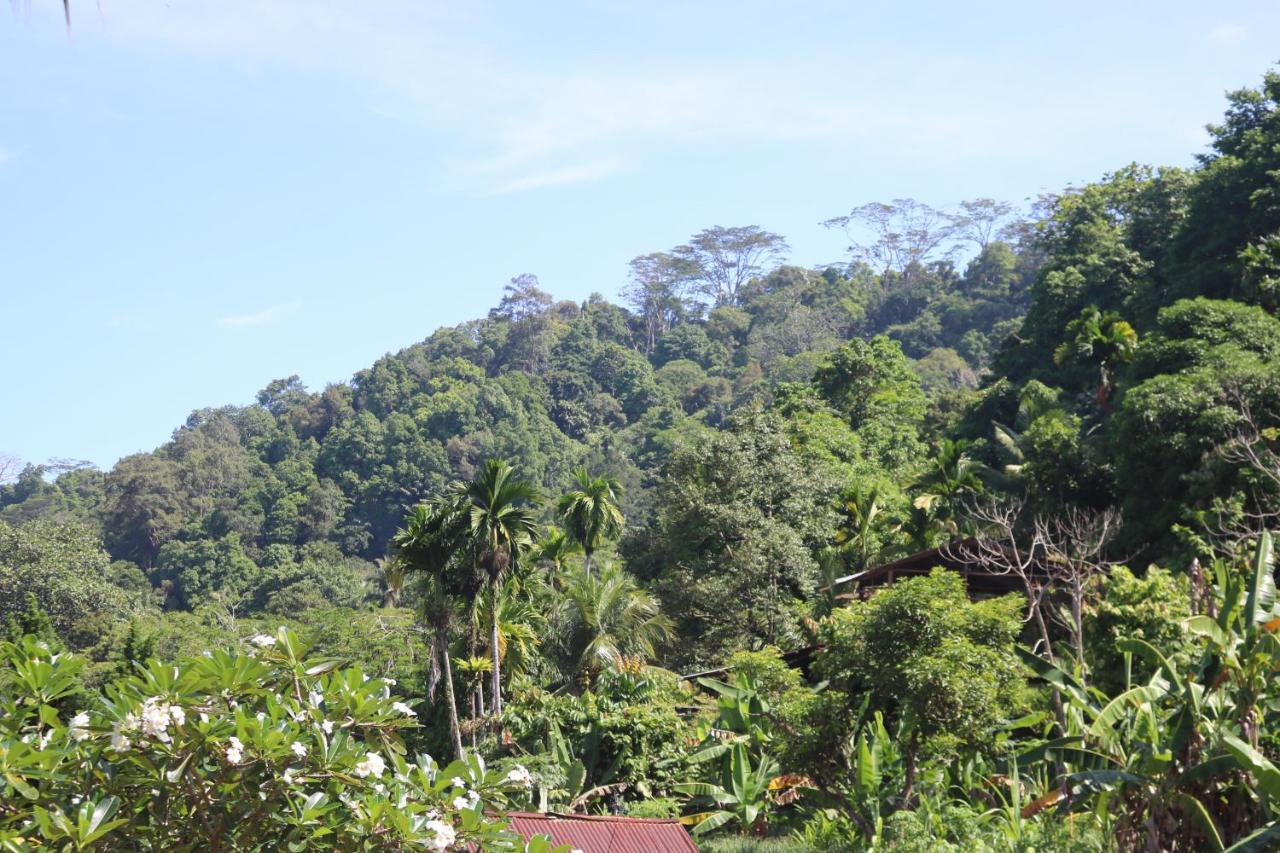 Air Manis Hillside Villa Cafe & Resto Padang  Extérieur photo